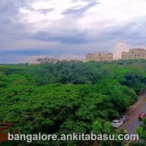 Call girls in HSR Layout, Bangalore