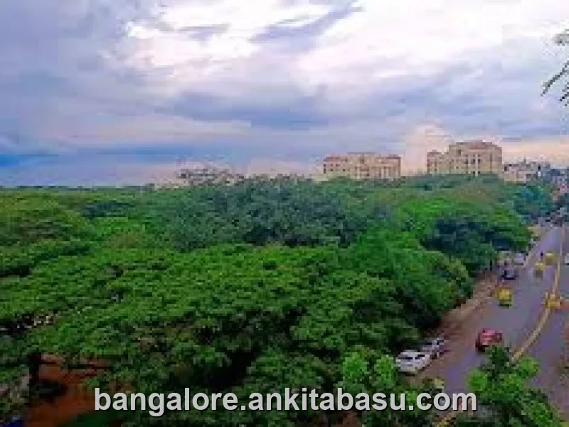 Call girls in HSR Layout, Bangalore